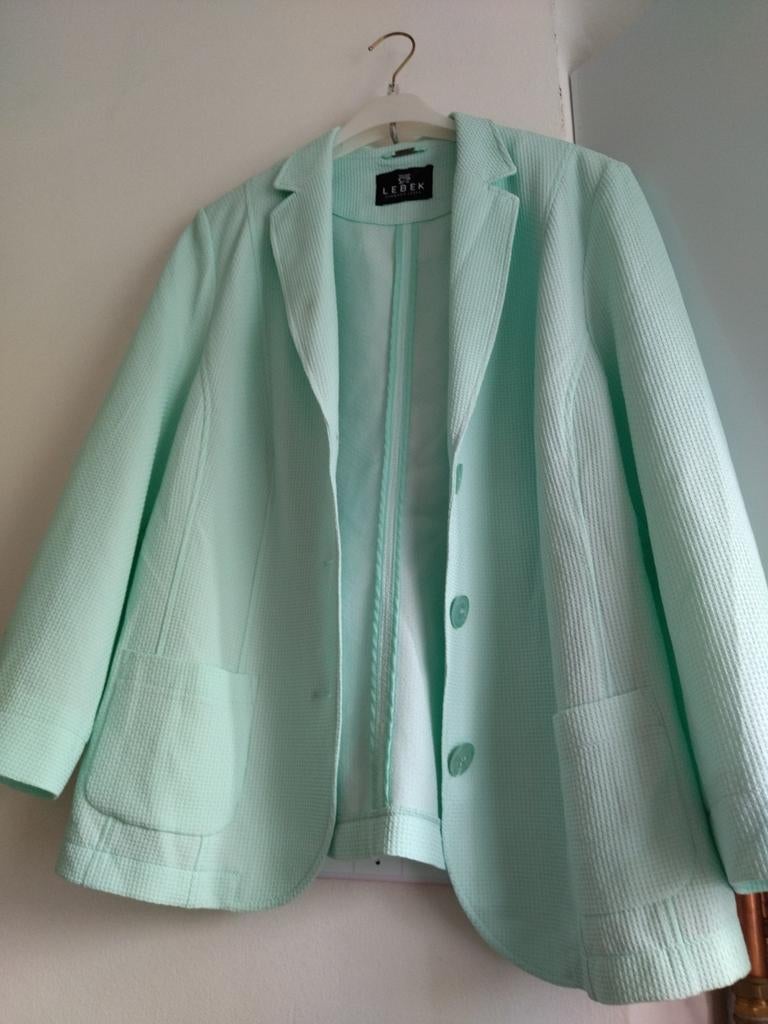 Blazer van Barbara Lebek. Mintkleur, Jurk, Ophalen of Verzenden, Zo goed als nieuw, Barbara Lebek