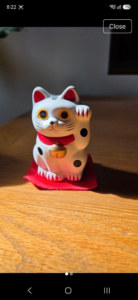 Chinese kat, Ophalen of Verzenden