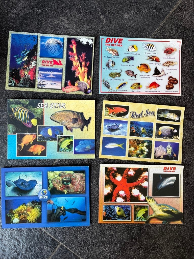 postkaarten Egypte - vissen - duiken - Rode Zee, Verzamelen, Ophalen of Verzenden