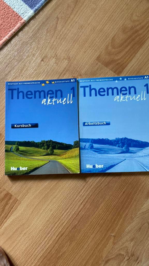 Thèmes aktuell kursbuch arbeitsbuch allemand, Livres, Livres scolaires, Utilisé, Allemand