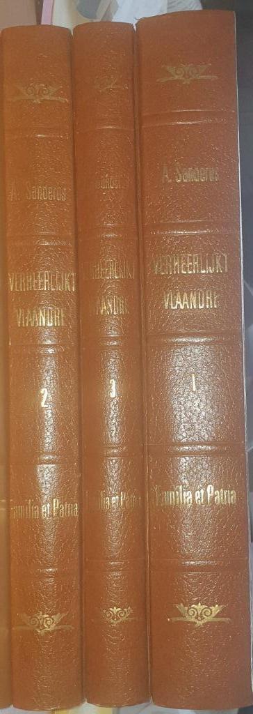 Verheerlykt Vlaandre, Boeken, Geschiedenis | Stad en Regio, Zo goed als nieuw, 17e en 18e eeuw, Ophalen of Verzenden
