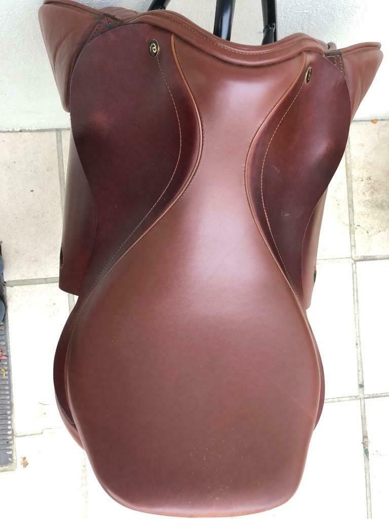 Chevaux selle brune, Enlèvement, Utilisé, Autres espèces