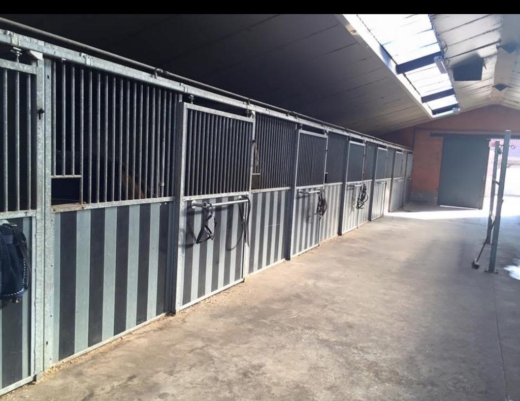 Volpension stallen, Dieren en Toebehoren, Weidegang, 4 paarden of pony's of meer