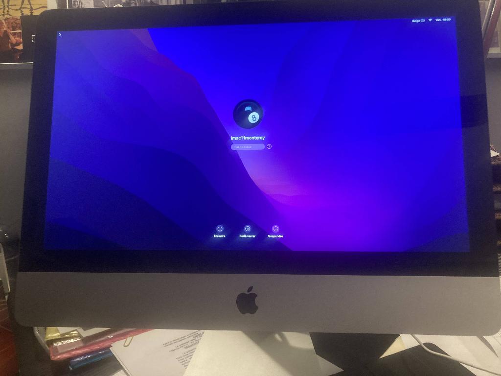 iMac 21.5 medio 2010 Monterey, Computers en Software, Ophalen, HDD, IMac, Gebruikt
