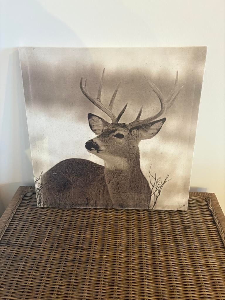 Canvas hert, Ophalen, Gebruikt, Minder dan 50 cm, Overige typen