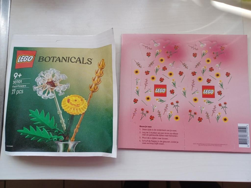 Set lego botanicals bloemen, Enlèvement ou Envoi, Neuf
