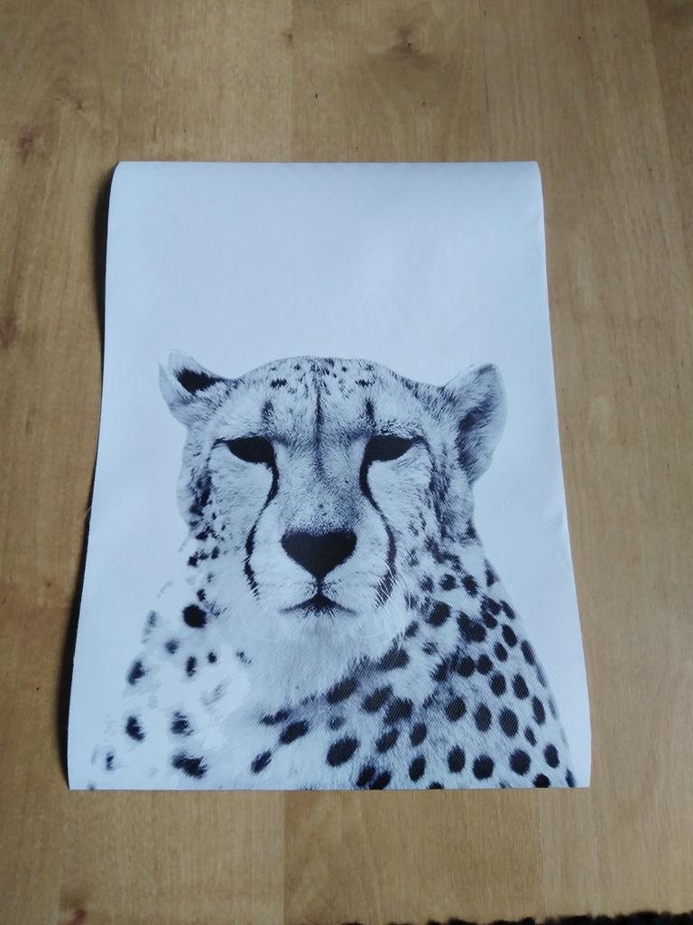 Canvas poster panter zwart wit, Neuf, Moins de 50 cm, Enlèvement ou Envoi, Photo ou Poster