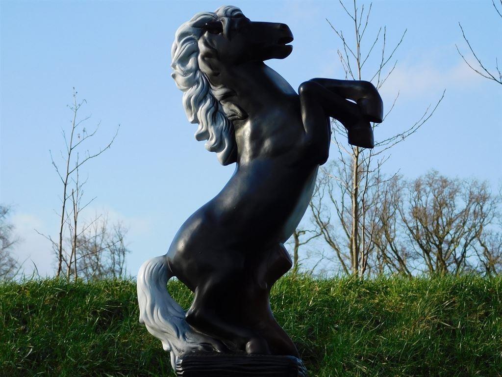 stijgerend paard, Tuin en Terras, Ophalen of Verzenden, Nieuw