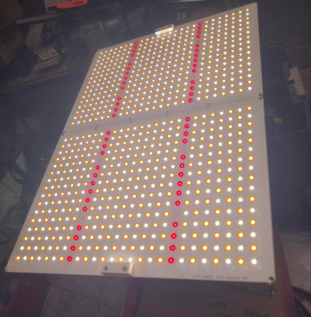Lampe horticole