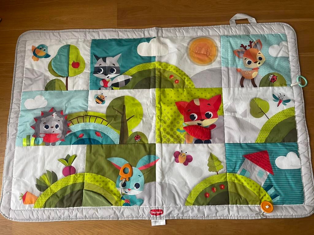 Tapis d’eveil, Enfants & Bébés, Enlèvement, Comme neuf