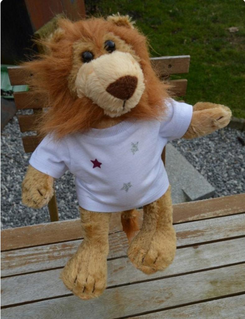 peluche lion , avec t shirt , 30 / 20 cm, Beer, Nieuw, Ophalen of Verzenden, Middelgroot (20 tot 80 cm)