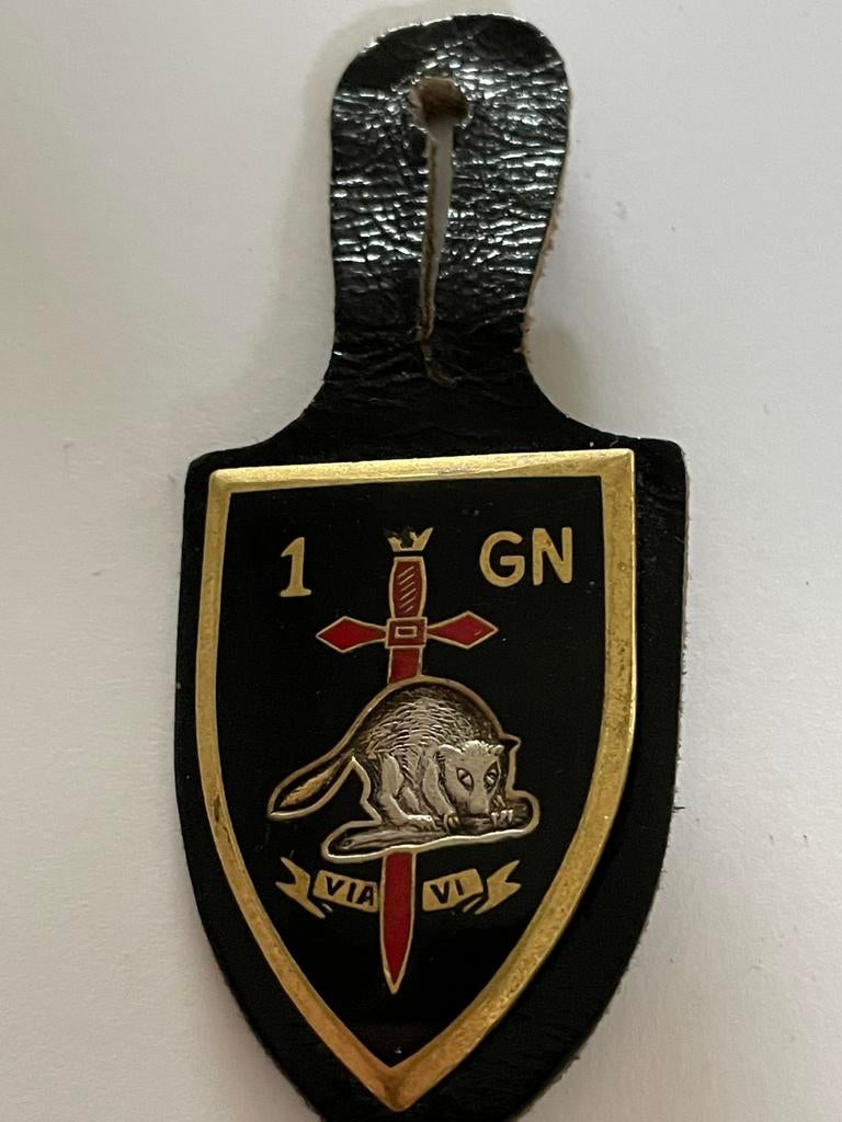 Cintre de coffre doré 1st Genius, Collections, Envoi, Armée de terre, Emblème ou Badge