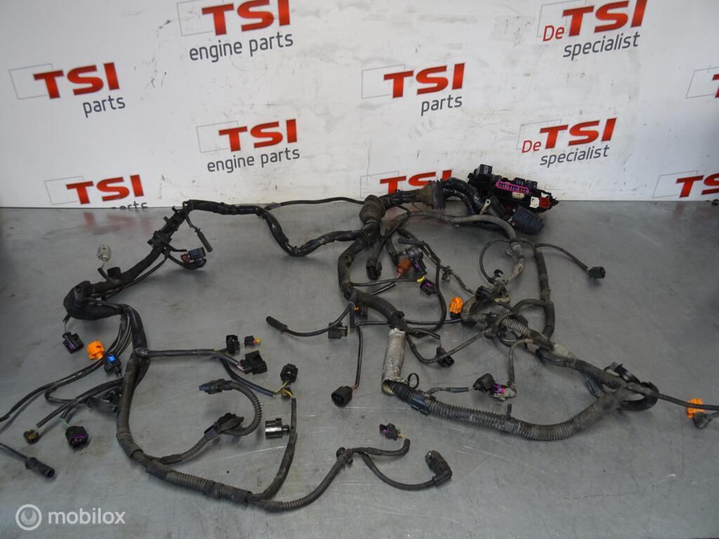Kabelboom Motor 8K1971072S 2.7TDI CGK AUDI Multitronic Aut., Autos : Pièces & Accessoires, Audi, Enlèvement ou Envoi, Audi, Utilisé