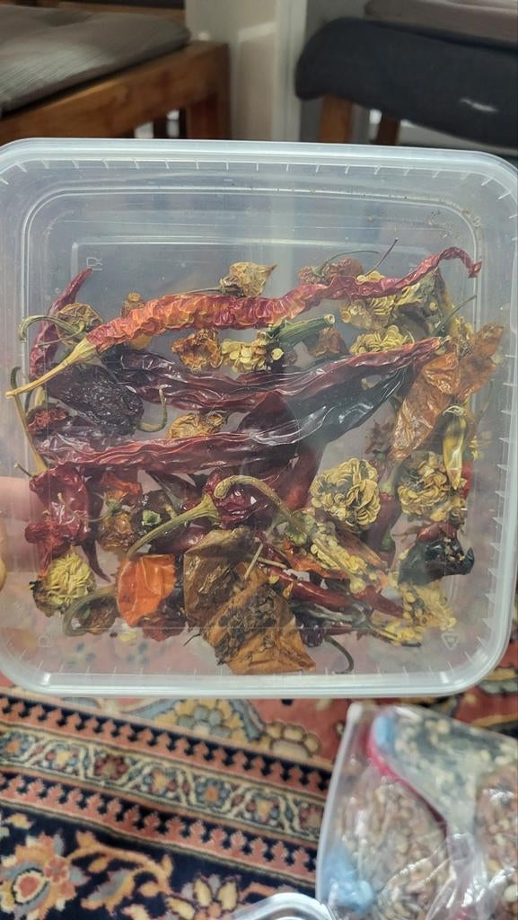 Graines de poivre biologiques (10 graines pour 1 euro), Enlèvement