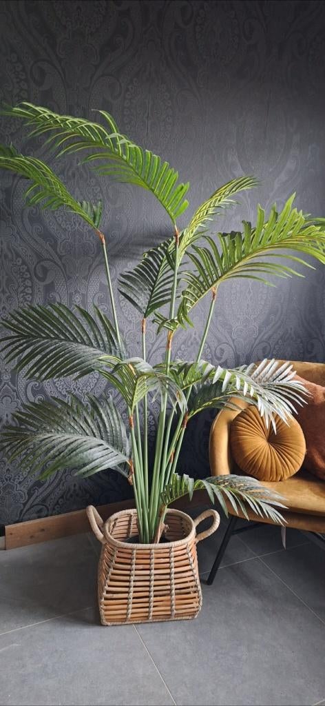 kunstplant palm ZONDER rotan mand, Ophalen, Zo goed als nieuw, Binnen