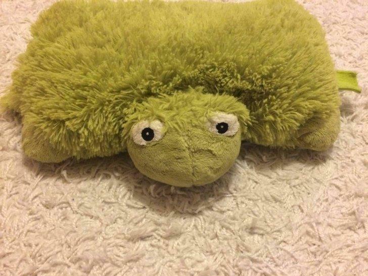 Pillow frog, Ophalen of Verzenden, Nieuw