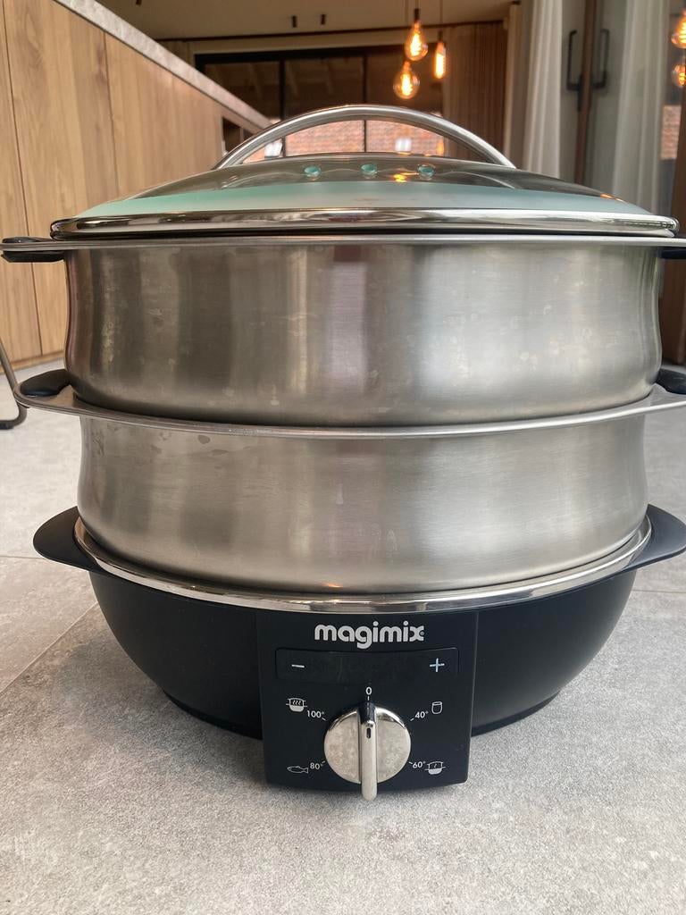 Défroisseur multifonction Magimix 11581, Envoi, Comme neuf