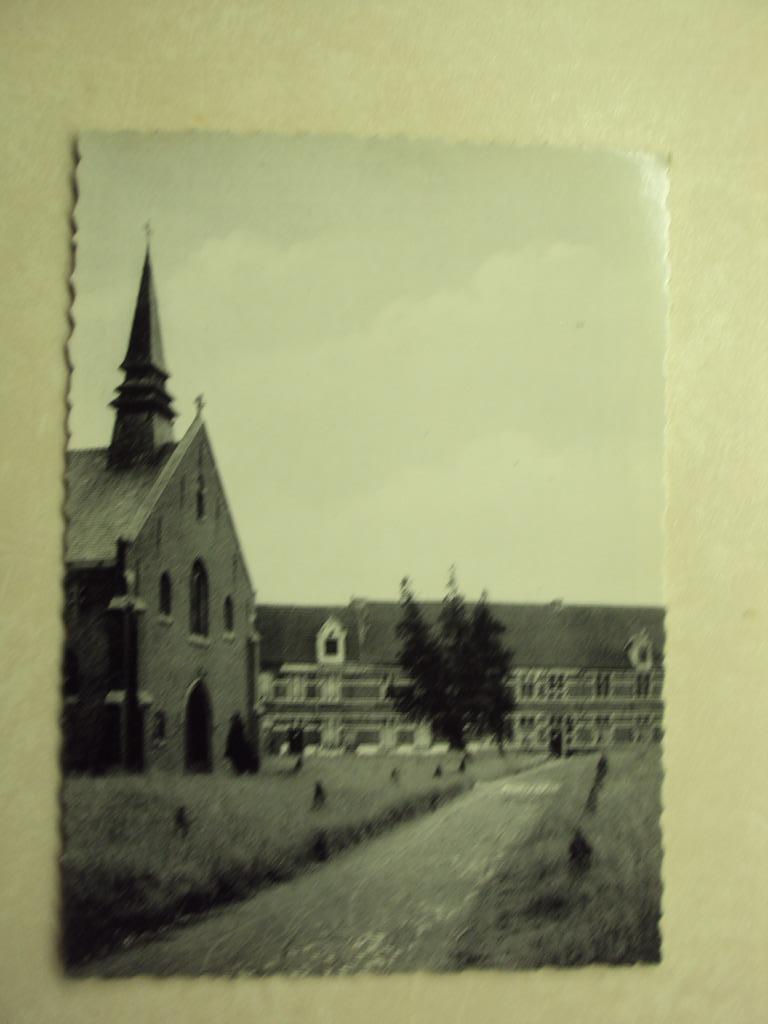 50123 - DENDERMONDE - BEGIJNHOF, Verzamelen, Postkaarten | België, Ophalen of Verzenden