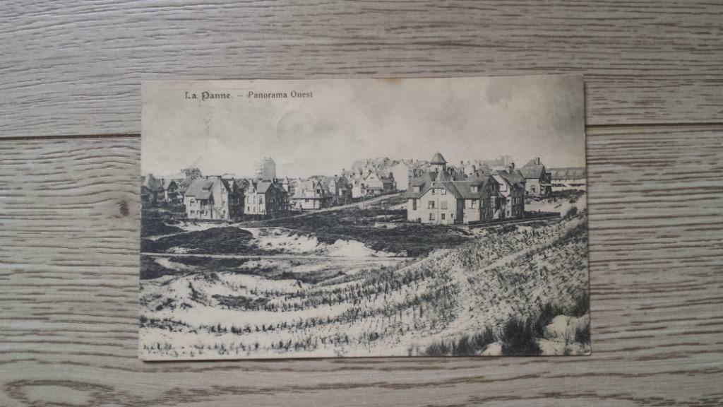 La Panne - Panorama Ouest, Enlèvement ou Envoi, Affranchie, Flandre Occidentale