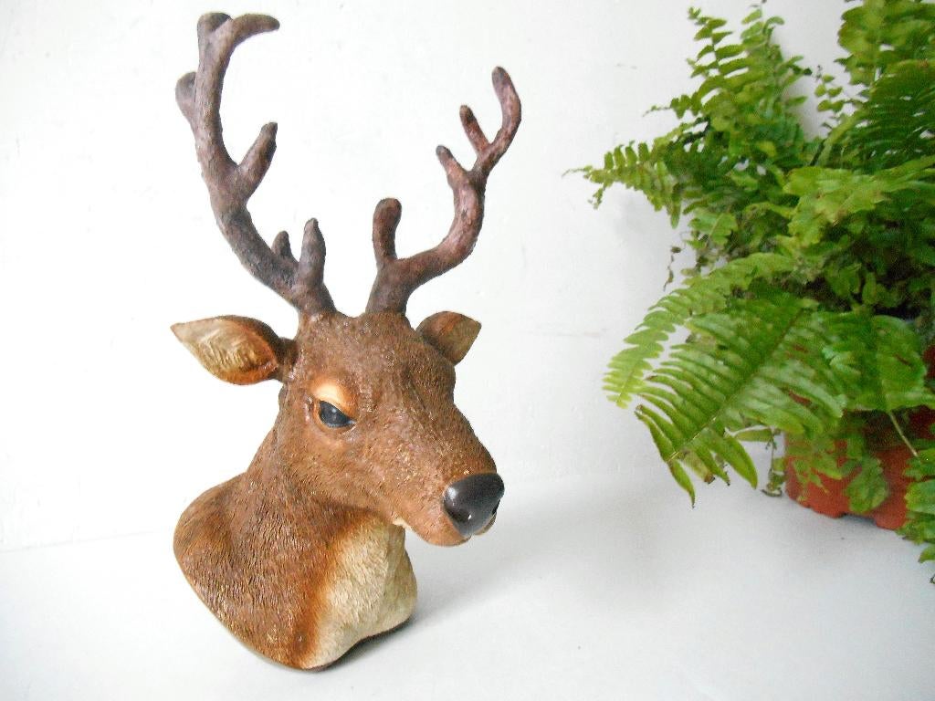 Image d'une tête de cerf/tête de cerf, Enlèvement ou Envoi