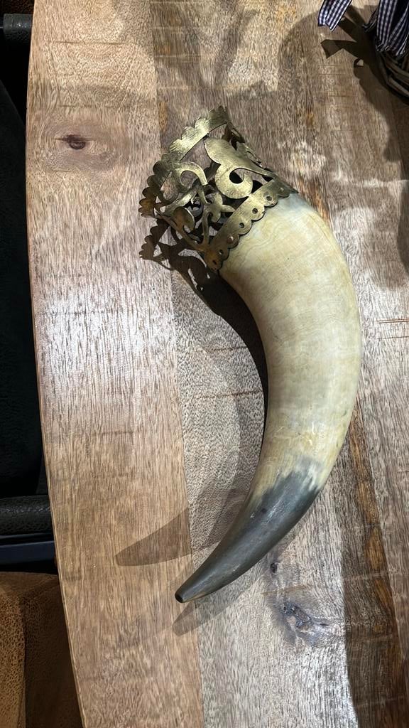 Très jolie et véritable corne de de vache ou  taureau, Enlèvement ou Envoi