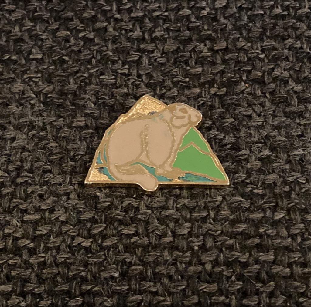 PIN - MARMOT - MARMOTTE, Envoi, Utilisé, Animal et Nature, Insigne ou Pin's