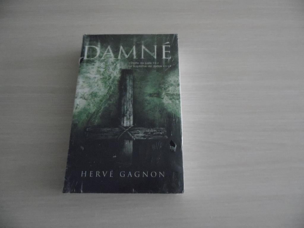 DAMNÉ HERVÉ GAGNON      NEUF SOUS BLISTER, Enlèvement ou Envoi, Neuf, Hervé Gagnon, Amérique