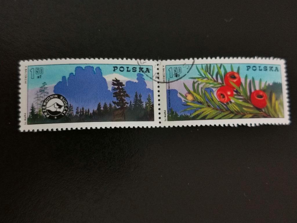Polen 1975 - 100 jaar Poolse berggidsen, flora, taxus, Ophalen of Verzenden, Polen, Gestempeld