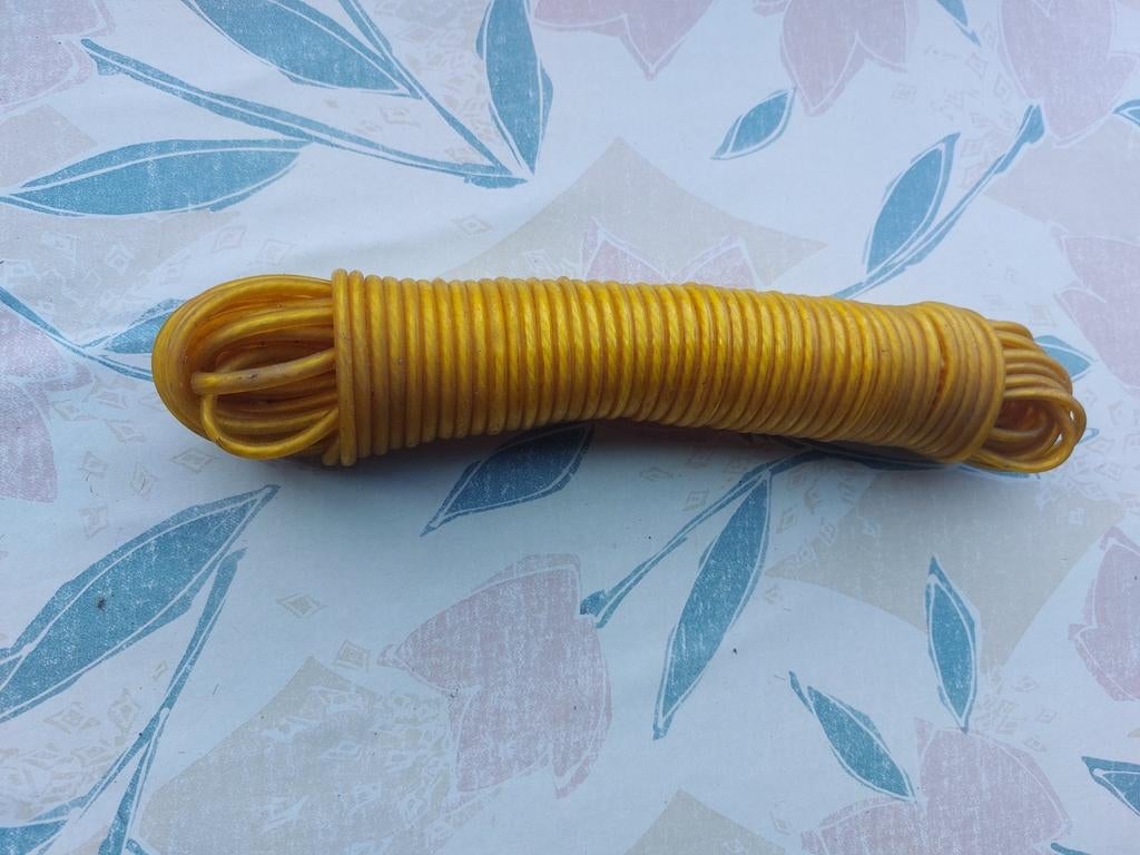 Corde à linge (nouvelle), Enlèvement, Neuf