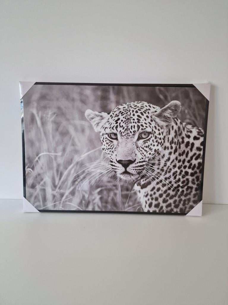 Canvas Panter, Huis en Inrichting, Ophalen, Nieuw