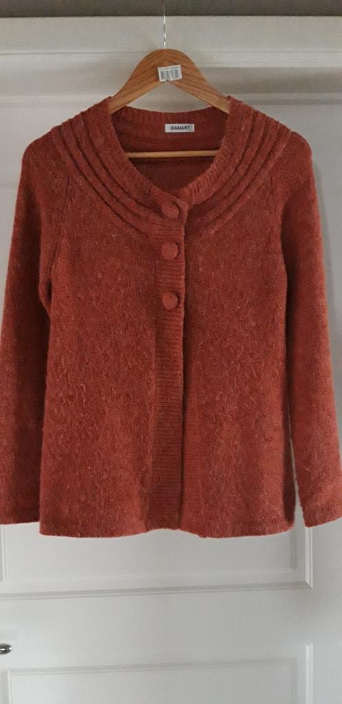 Cardigan marron rouille Damart B/Nl XS, Enlèvement ou Envoi