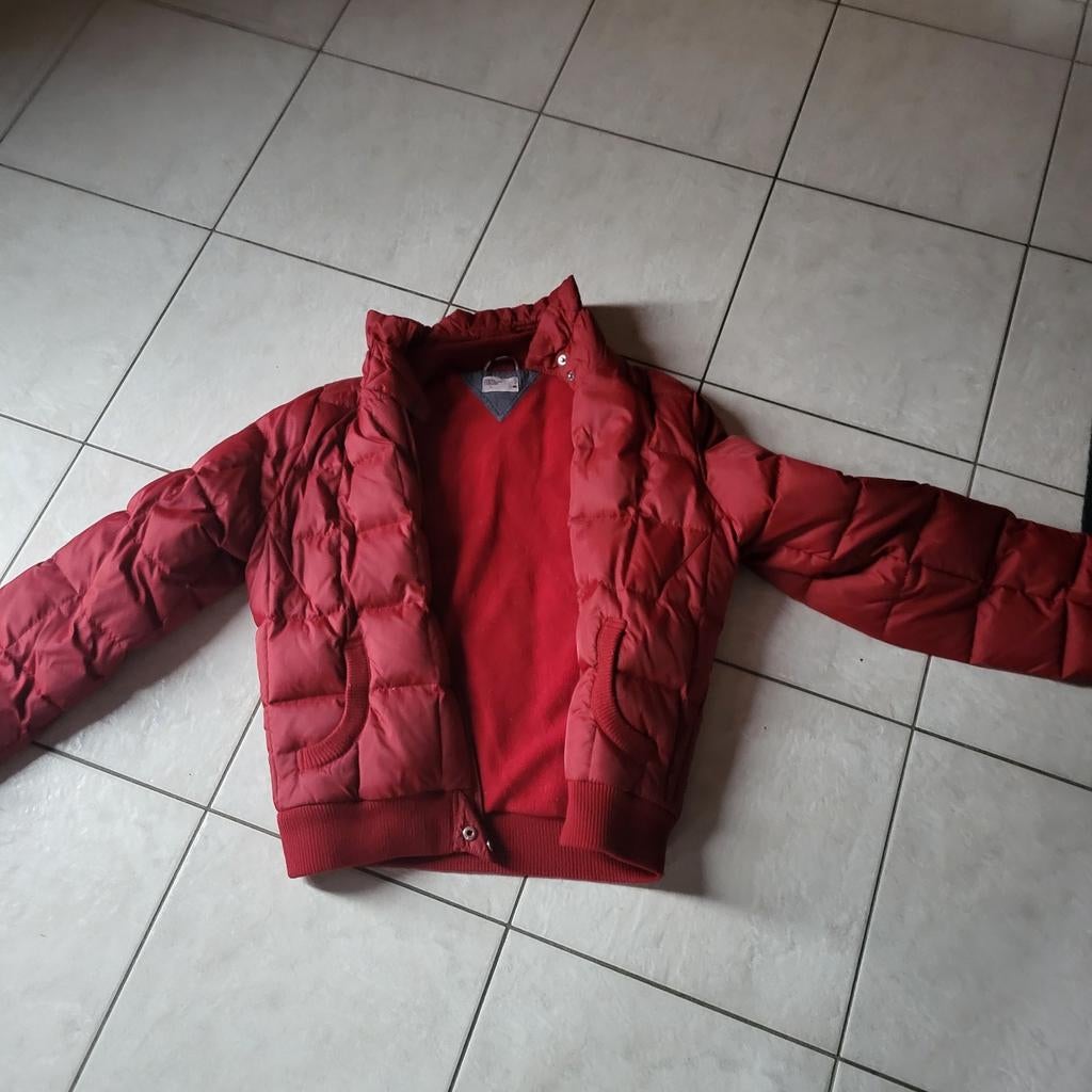 Winterjas Tommy Hilfiger, Kleding | Dames, Jassen | Winter, Gedragen, Maat 38/40 (M), Rood, Ophalen