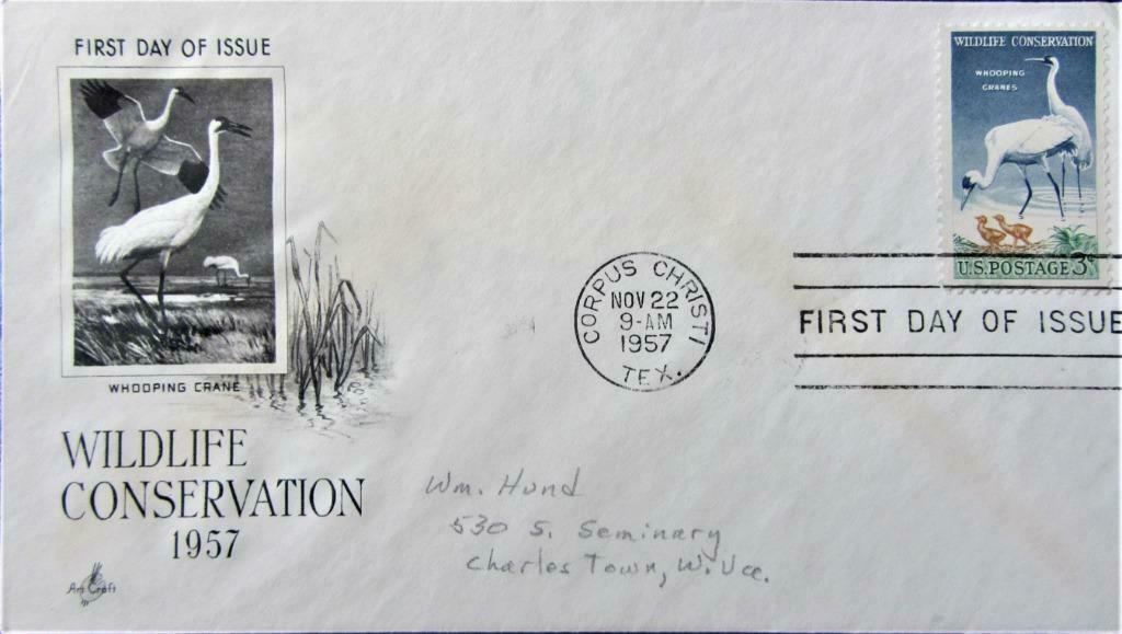 FDC- U.S.A.- NATUUR- NATIONAL WILDLIFE- KRAANVOGELS, Ophalen of Verzenden, Gestempeld, Dier of Natuur
