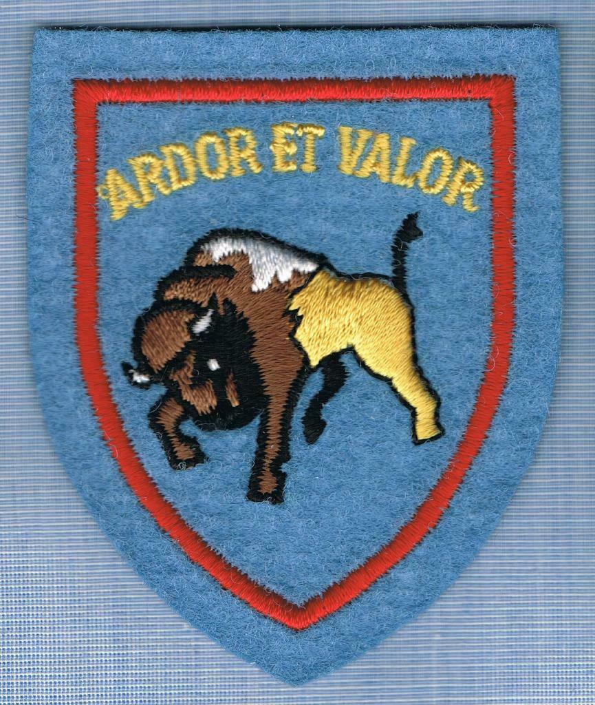 Belgian Air Force Service dress Insigne ( MS 18 ), Enlèvement ou Envoi, Armée de terre, Emblème ou Badge