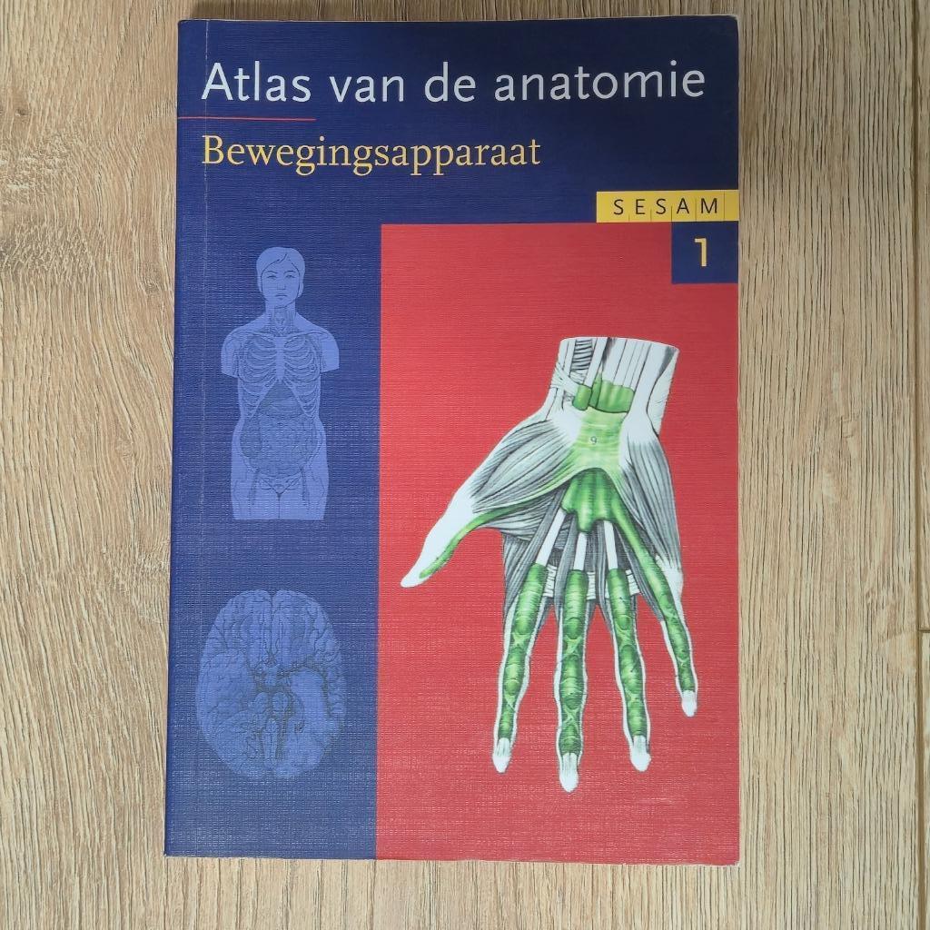 Atlas van de anatomie - Bewegingsapparaat, Livres, Enlèvement, Utilisé, Enseignement supérieur professionnel