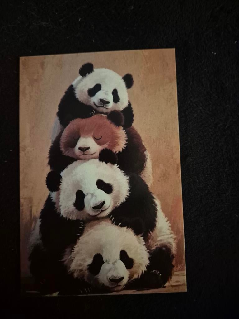Postkaart reuzenpanda, Verzamelen, Postkaarten | Dieren, Ophalen of Verzenden