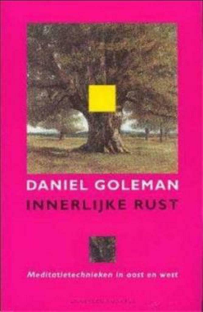 Daniel Goleman, Innerlijke rust, Ophalen of Verzenden, Gelezen