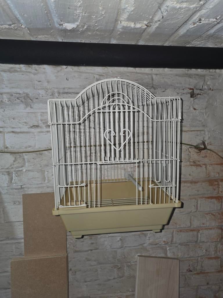 Witte vogelkooi, Ophalen, Gebruikt, Vogelkooi