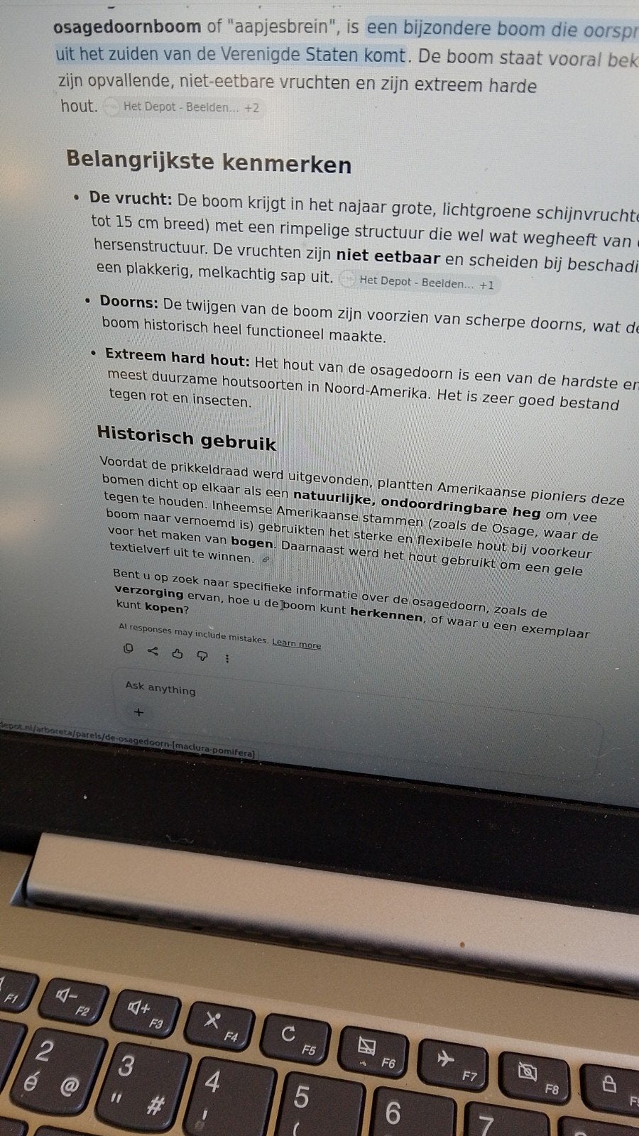 zaden voor osagedoornboom, Ophalen