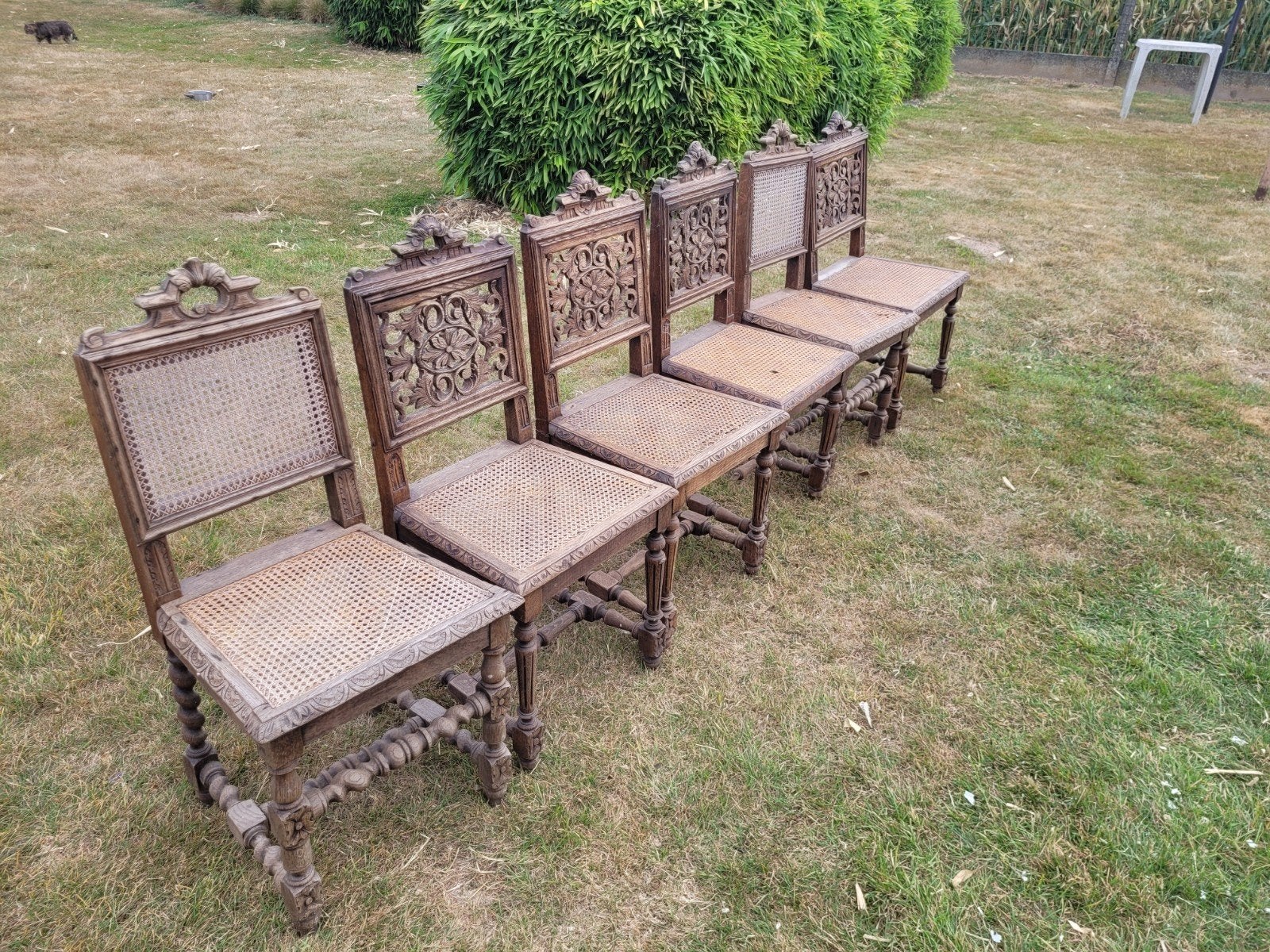 6 stoelen antiek, Ophalen