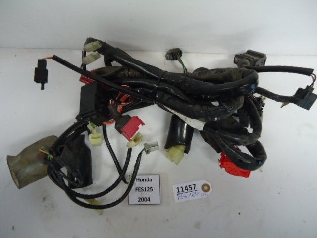 FES125 Pantheon 1997 - 2006 Honda Kabelboom D1-16763, Motoren, Onderdelen | Honda