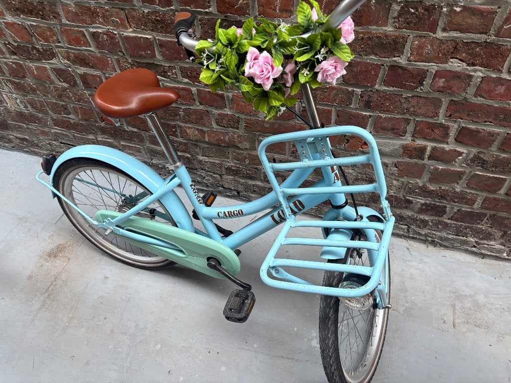 Meisjes fiets, Ophalen, Terugtraprem, Gebruikt, Handrem
