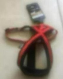 Harnais rouge S Vadigran NEUF, Ophalen of Verzenden, Nieuw, Halsband