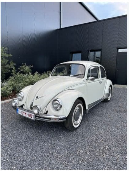 recherche coccinelle, Particulier, Achat, Coccinelle
