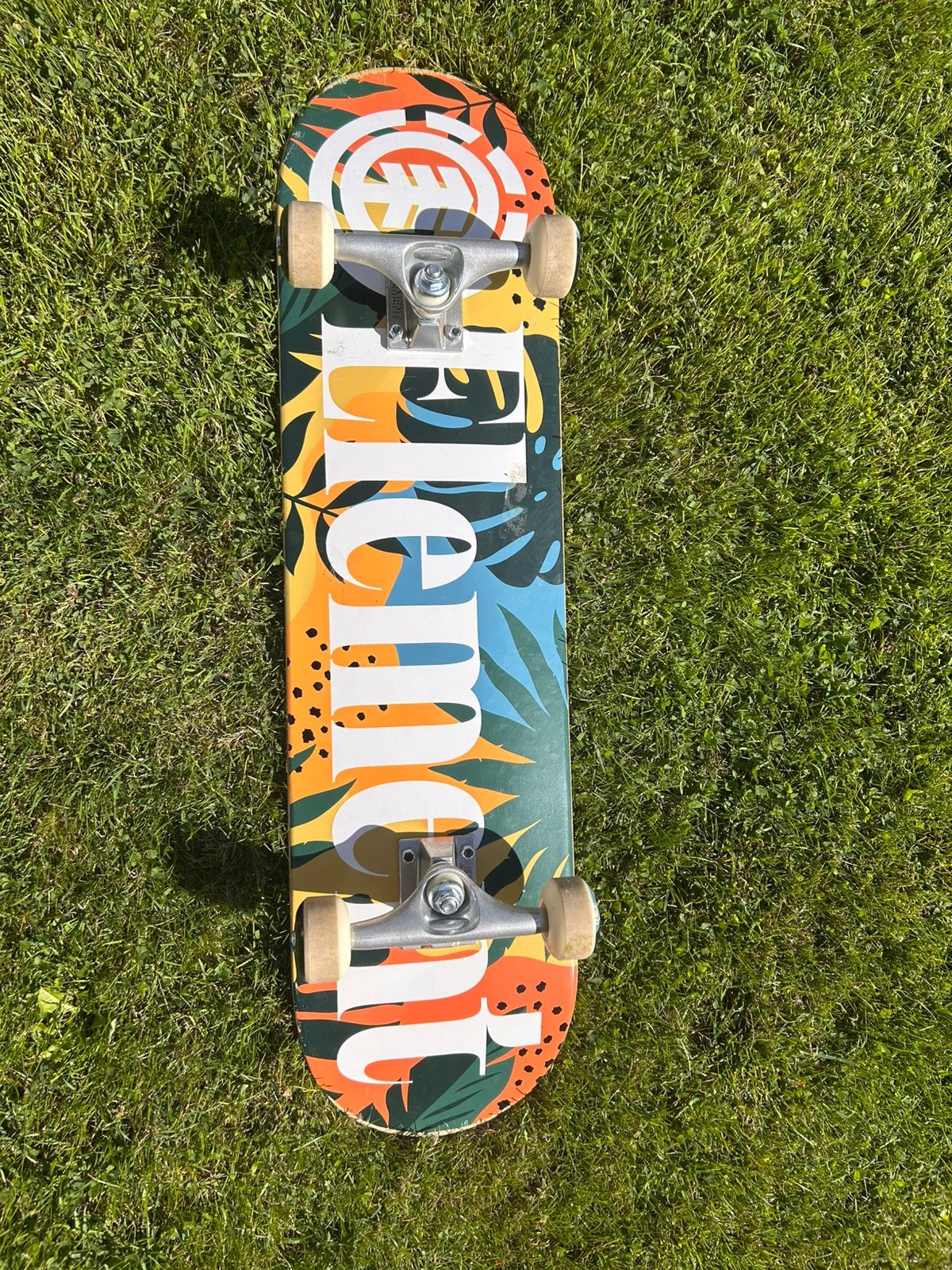 Skateboards element, Sport en Fitness, Ophalen, Gebruikt, Skateboard