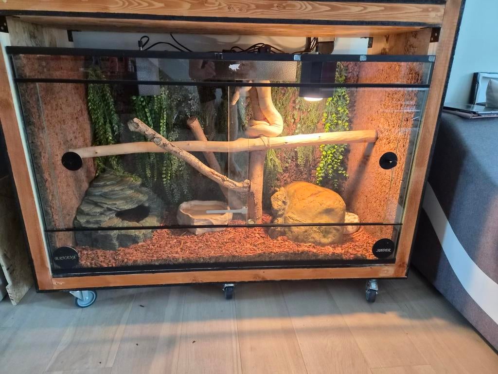 Terrarium, Ophalen