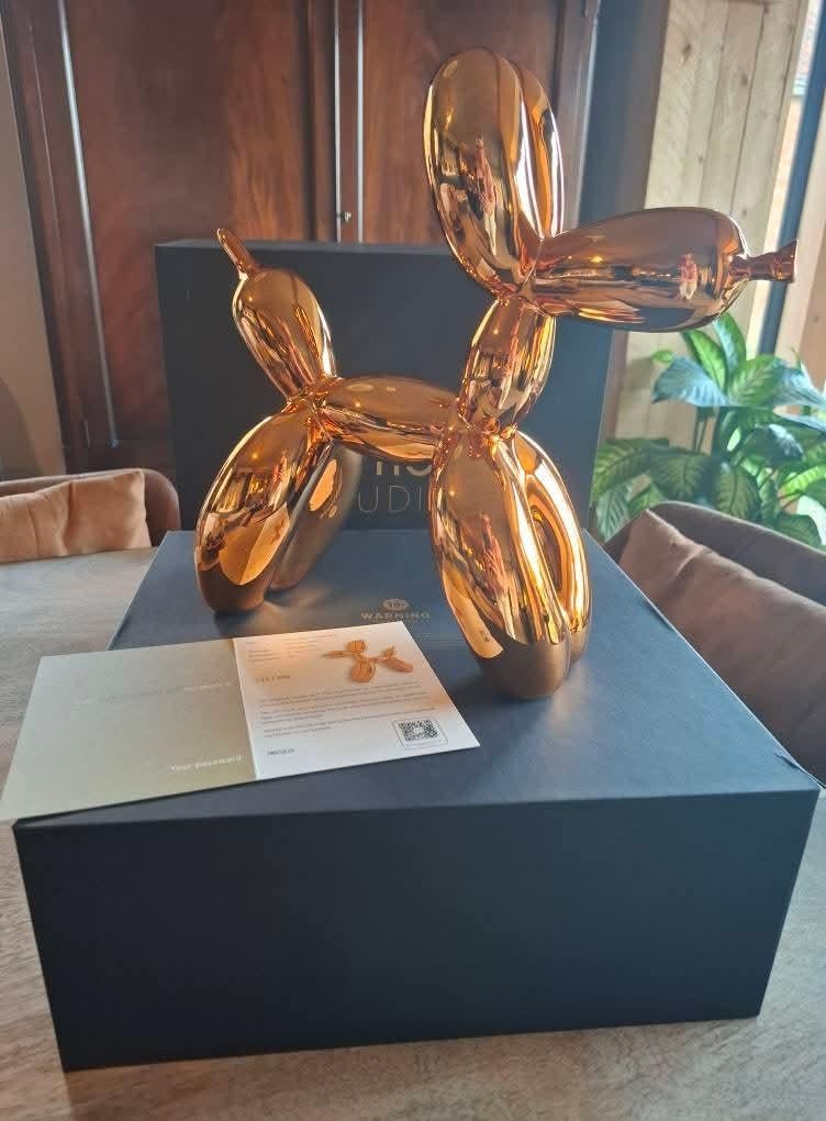 BALLOON DOG, Enlèvement