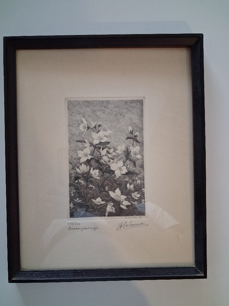 Etsen, Antiek en Kunst, Kunst | Etsen en Gravures, Ophalen, Flora en Fauna, 50 cm, 40 cm