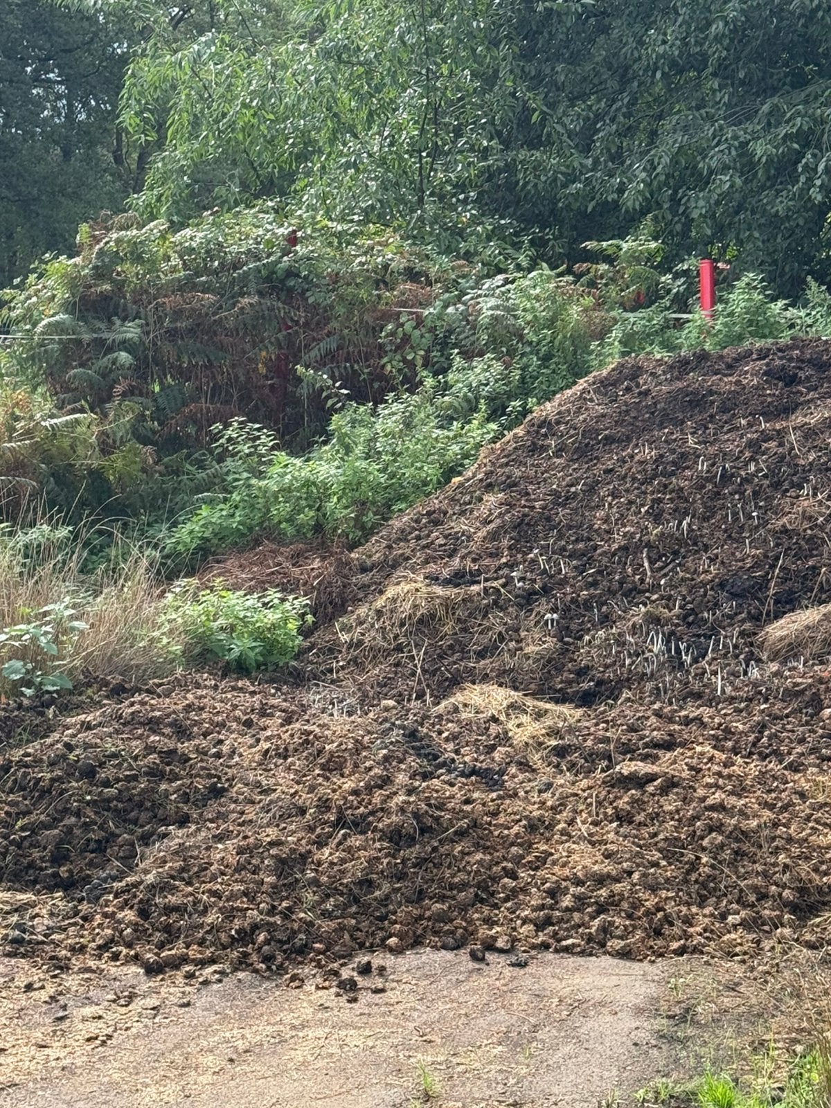 GRATIS paardenmest te Herselt, Ophalen, Mest