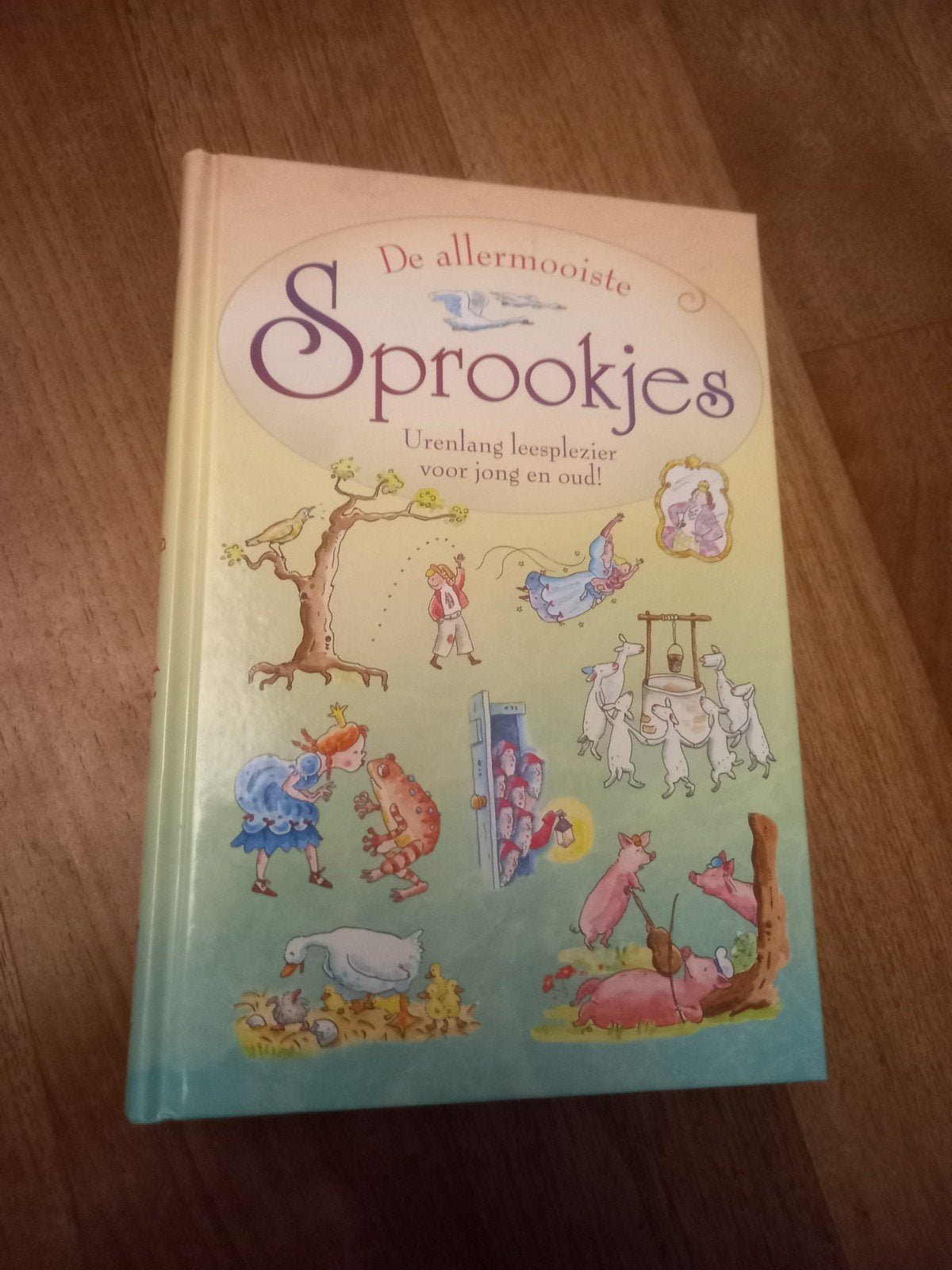 De allermooiste sprookjes, Enlèvement ou Envoi